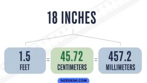 Things That Are 18 Inches Long: 16 Real-Life Size Comparisons