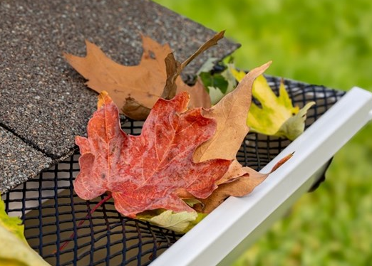 Guide to Protecting Your Home’s Gutters From Leaves and Debris