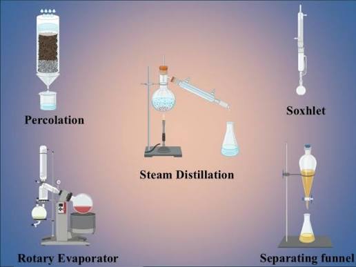 From 5 mL Sample to Production Run: Costing and Scaling Terpene Formulations