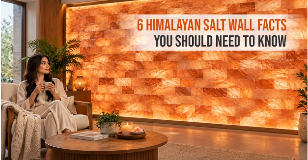 6 Himalayan Salt Wall Facts You Should Need to Know