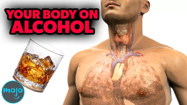 Alcohol Myths Debunked: What Really Happens in Your Body