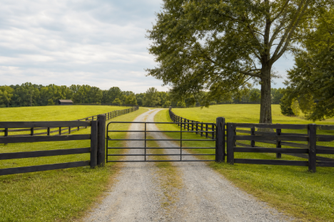 A Practical Guide To Planning Safer, More Efficient Livestock Pastures In Gaston County, North Carolina