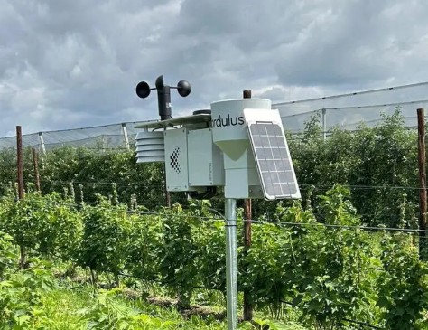 Hansa Weather Forecast Basics for Farmers and Families