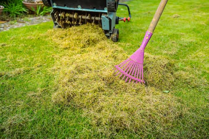 How a Lawn Dethatcher Improves Water and Nutrient Movement Through Your Lawn